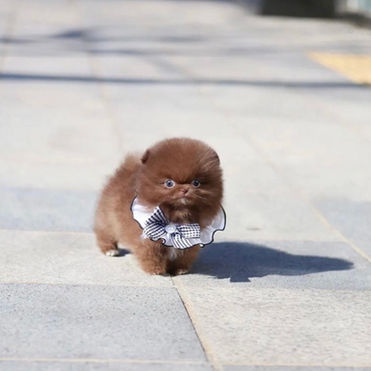 WhatsApp Image 2022-10-11 at 14.31.53 (2).jpeg