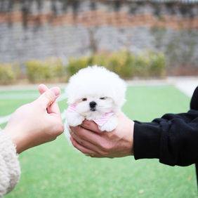 WhatsApp Image 2022-10-11 at 14.29.48 (2).jpeg