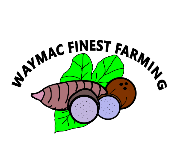 wFF logo3