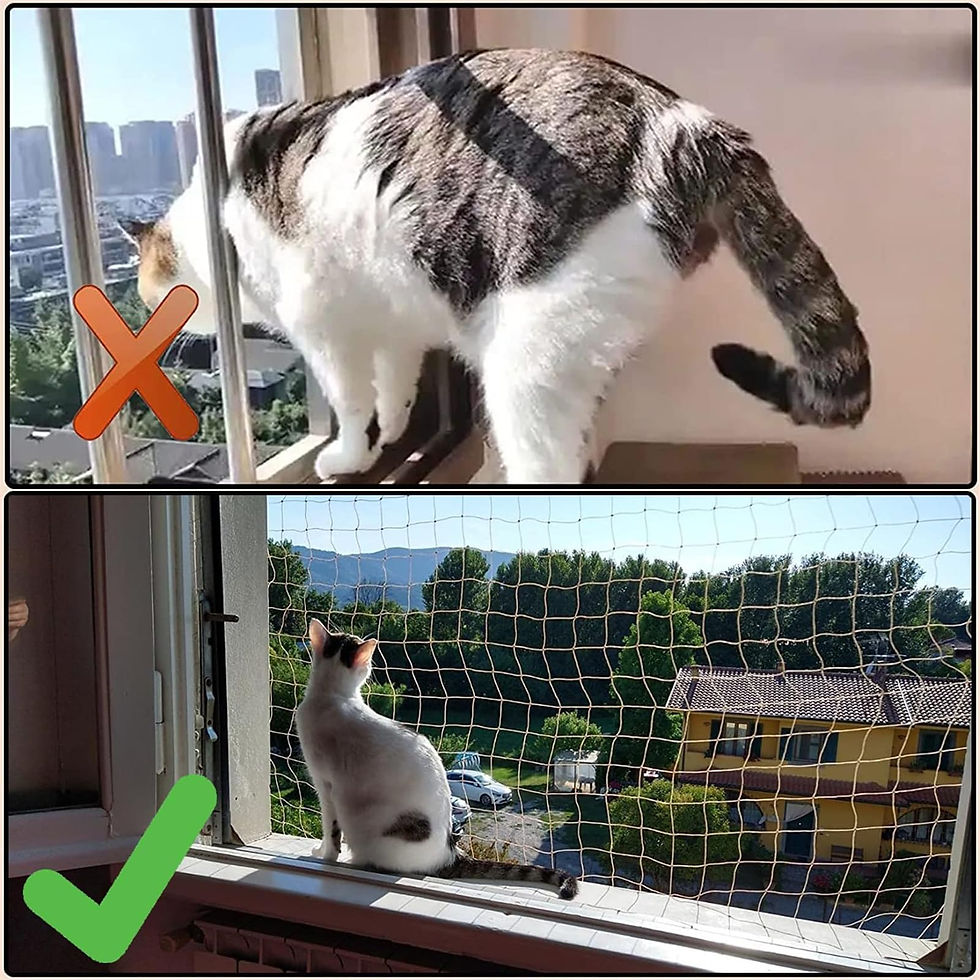 Pencere Kedi Filesi - Balkon Filesi