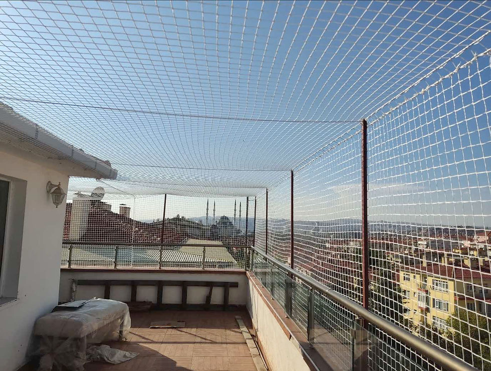 Pencere Kedi Filesi - Balkon Filesi