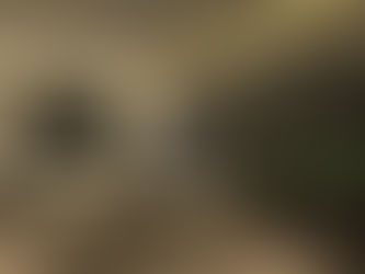 7 dicas para deixar a iluminação da sua casa mais agradável