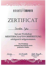 Meisterschaftvorbereitung