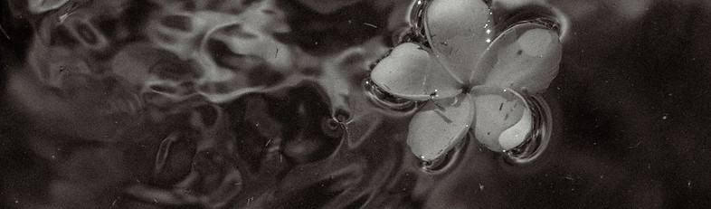 Sampian cottage, Uluwatu (Bali)