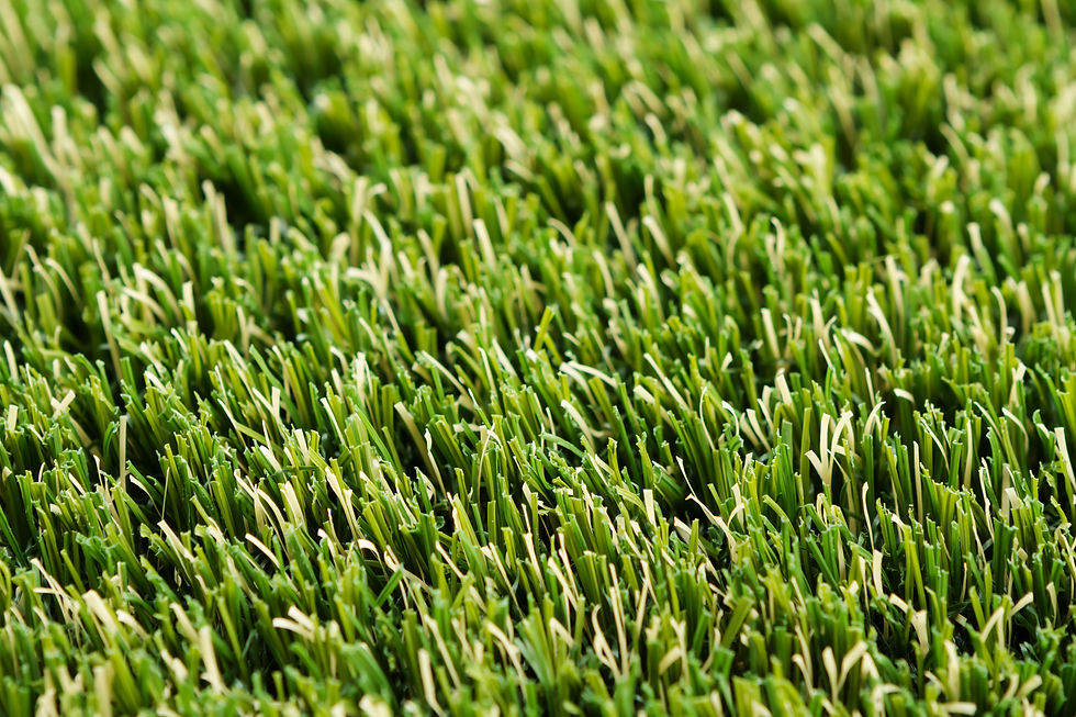 Tuff Turf signature synthetic turf grass