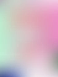 Creative Cloud Pro Plus