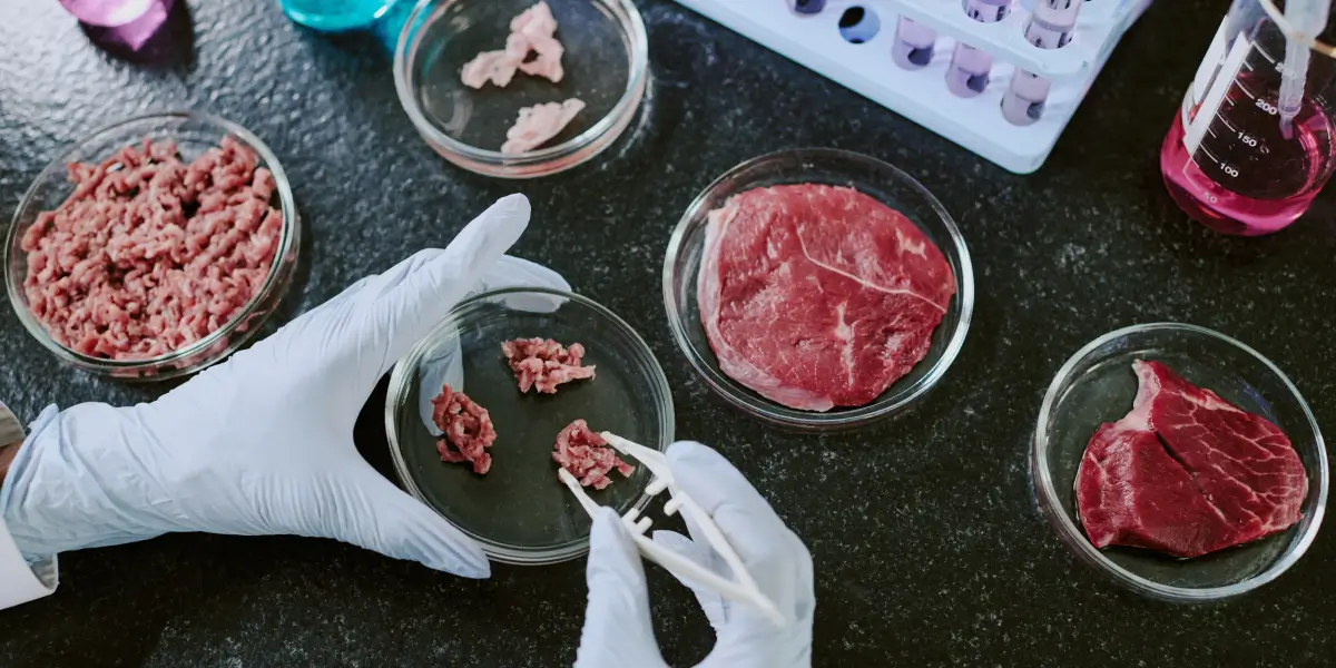 Lab grown protein that resembles beef.