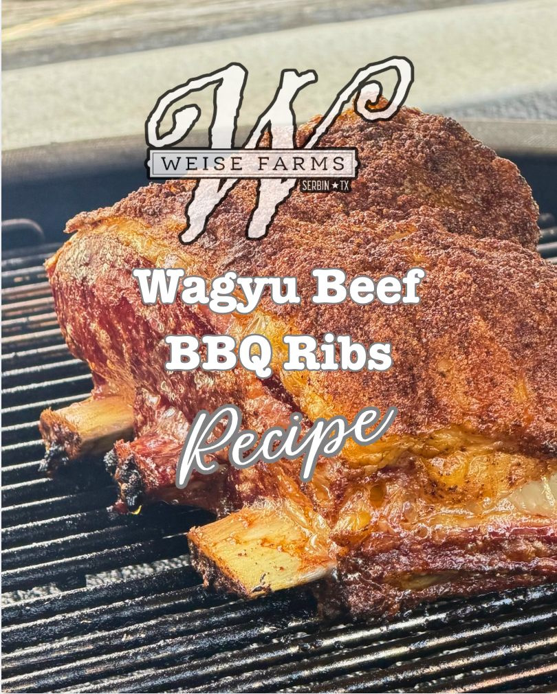 Wagyu beef BBQ ribs with a dark spice bark, grilling over open flame — Weise Farms