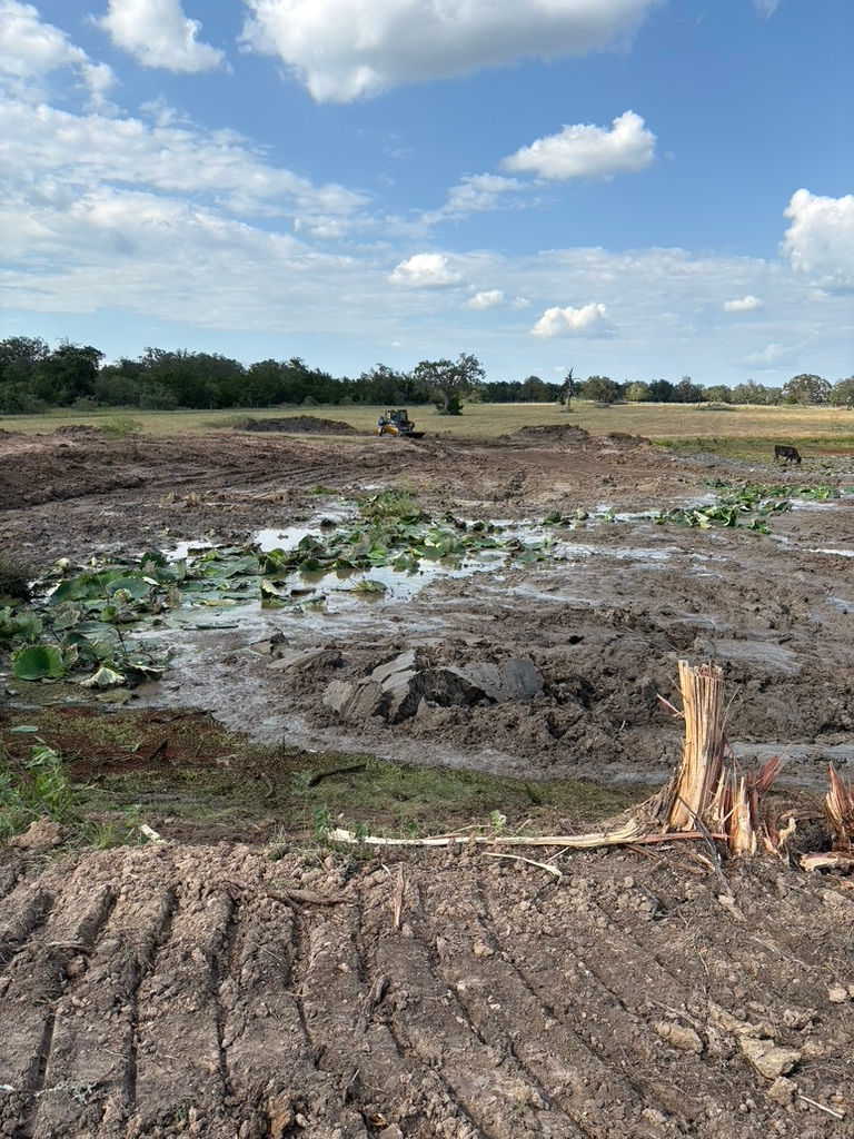 Mud, silt and poop with only a foot of water remained in the main tank at Weise Farms - The Pietsch Place.