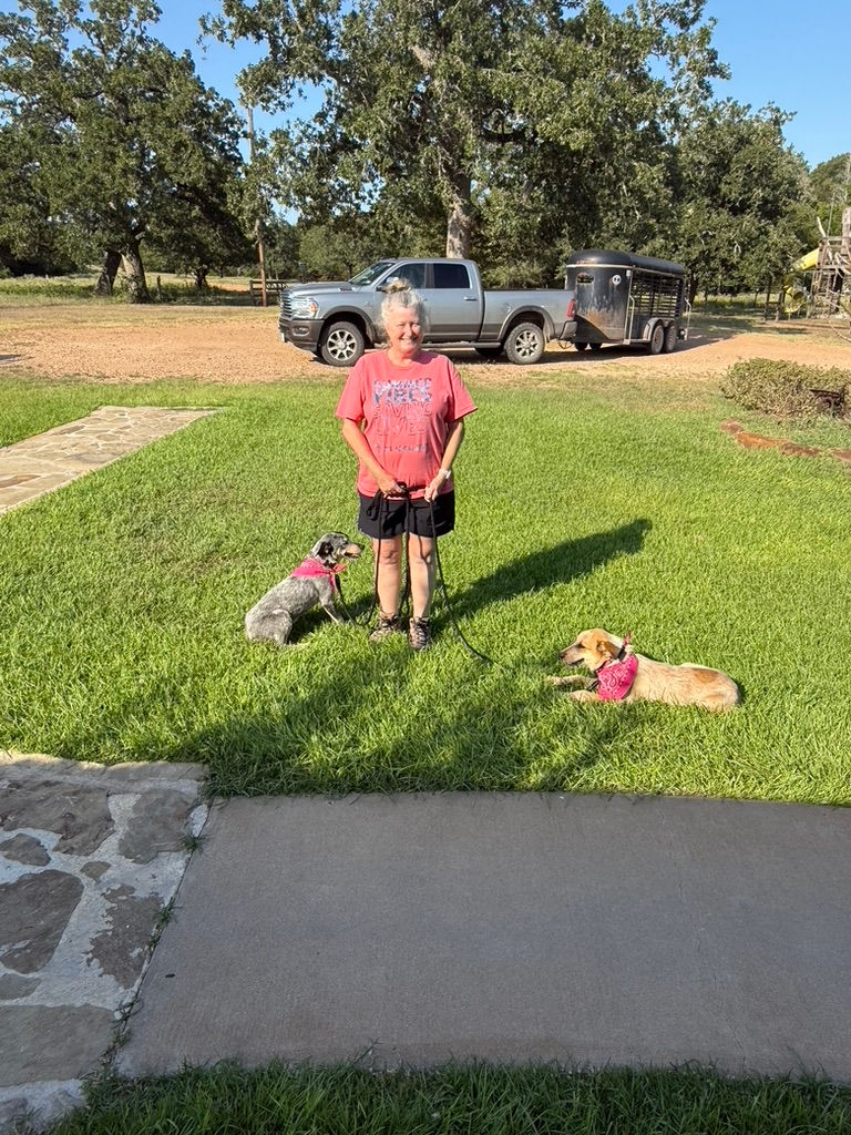 Pepper and Peaches are all decked out with pretty collars, pink bandanas and leashes, ready for training.