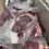 Thumbnail: Wagyu Ribeye