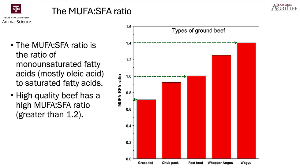 MUFA highest quality wagyu