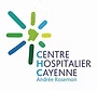 Image du logo du centre hospitalier de cayenne