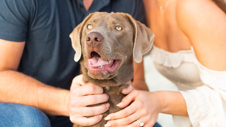 Engagement Photo To Do's