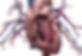 heart iray 1.png