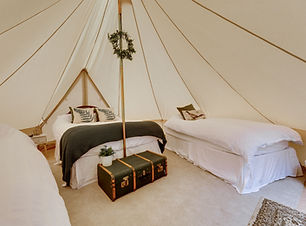 The Woodland.jpg.jpeg