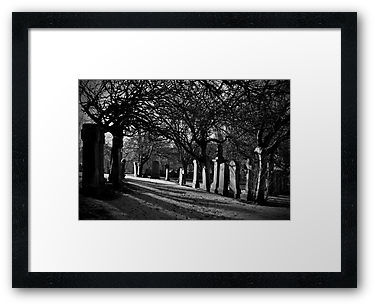 Buy Framed Print