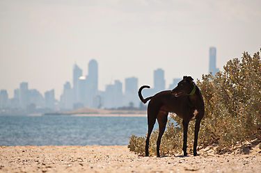 Buy Photographic Print