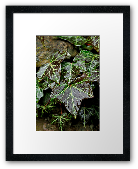 Buy Framed Print
