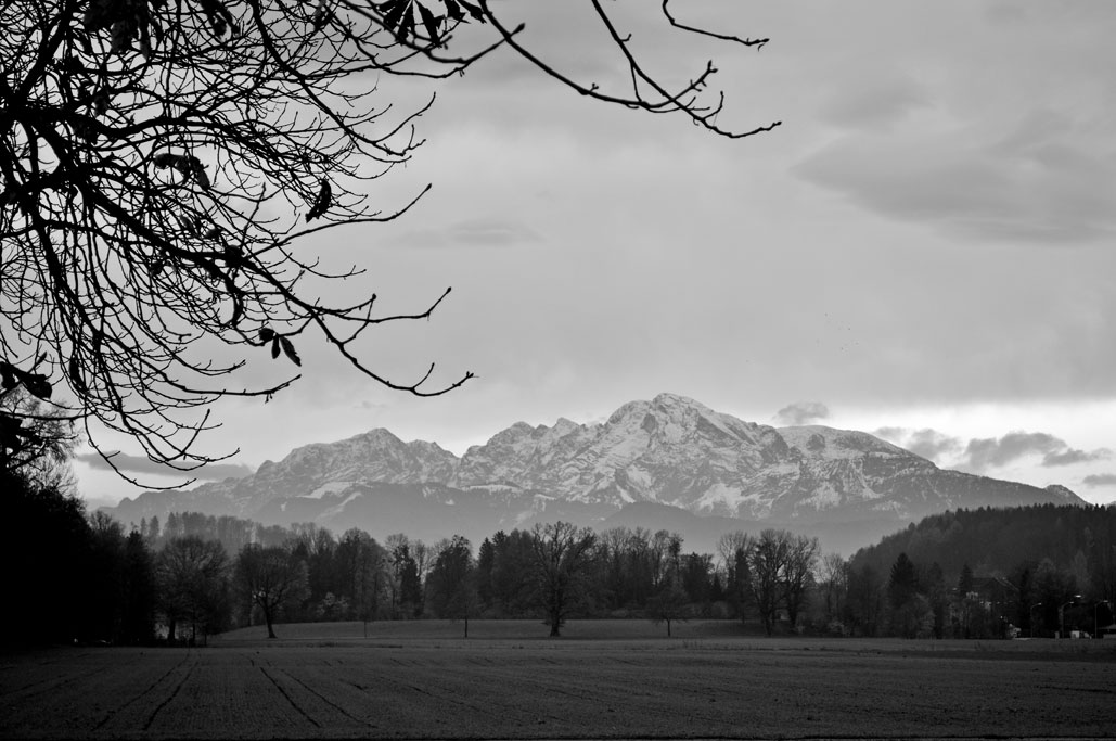 Autumn View of the Alps