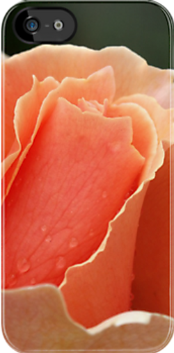 just joey iphone.png