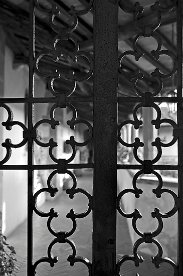 Buy Photographic Print