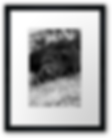 Buy Framed Print