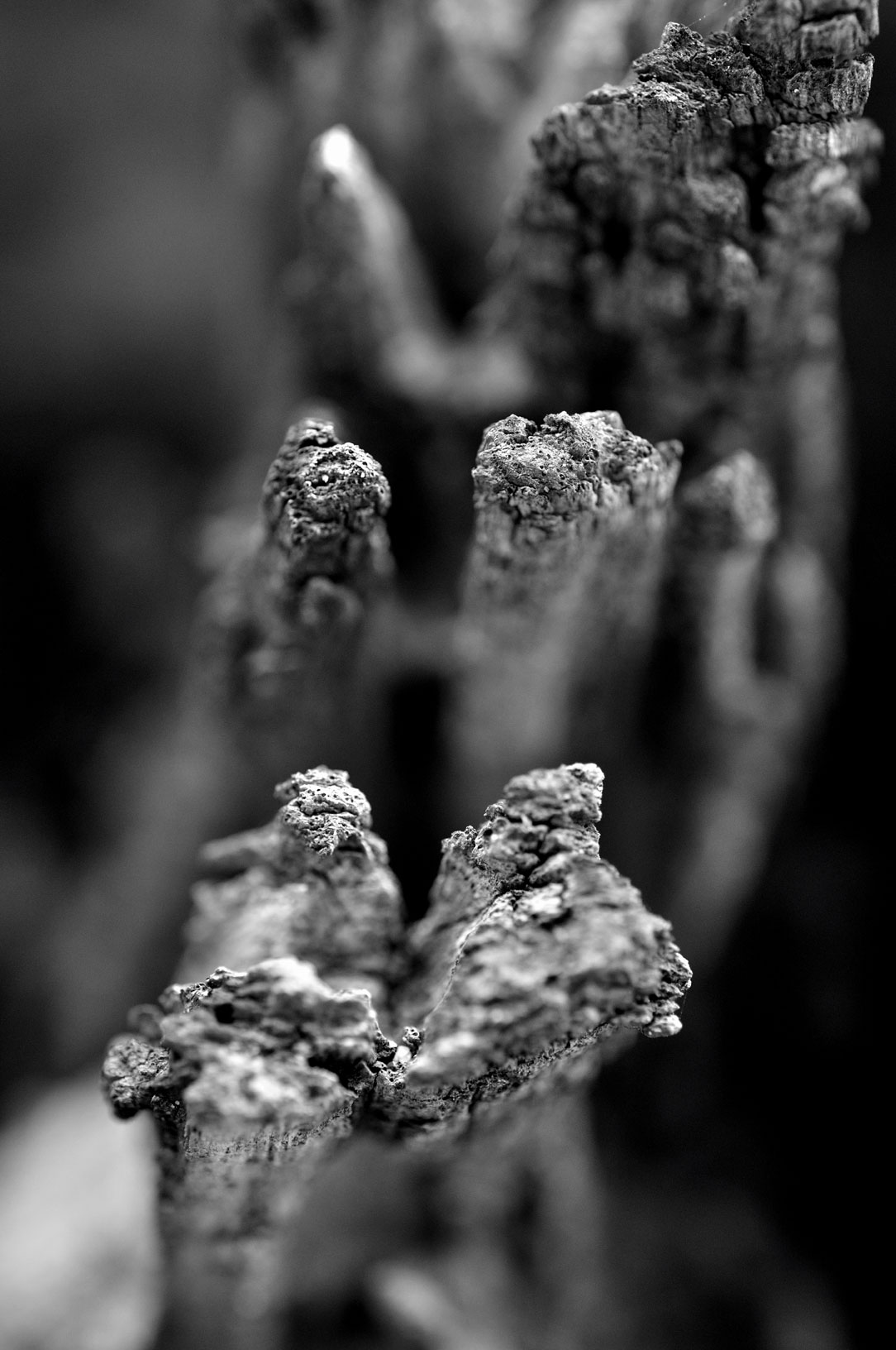 Reaching