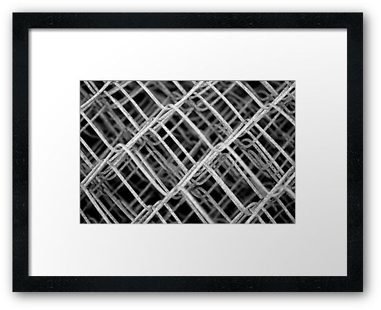 Buy Framed Print