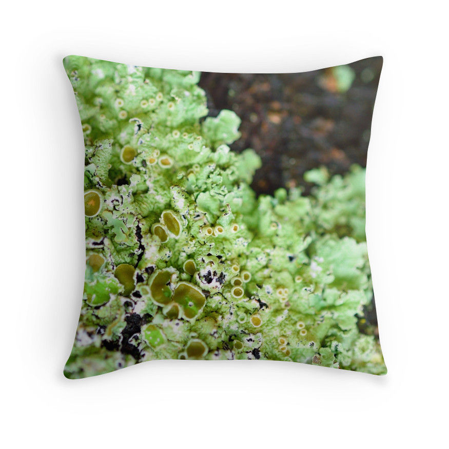 Buy Cushion