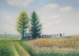 картина акварелью, деревенский пейзаж, лето в деревне