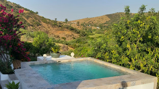 Our wonderful salt-water pool
