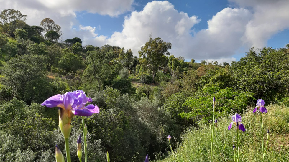 Our gorgeous valley