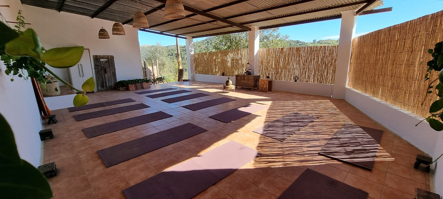 YOGA SHALA 2.jpeg