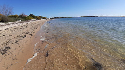 Visit the island of Armona on our day off
