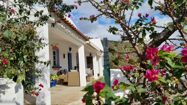 Downstairs terrace