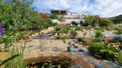 GARDEN 3.jpeg