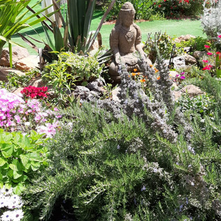Nature haven