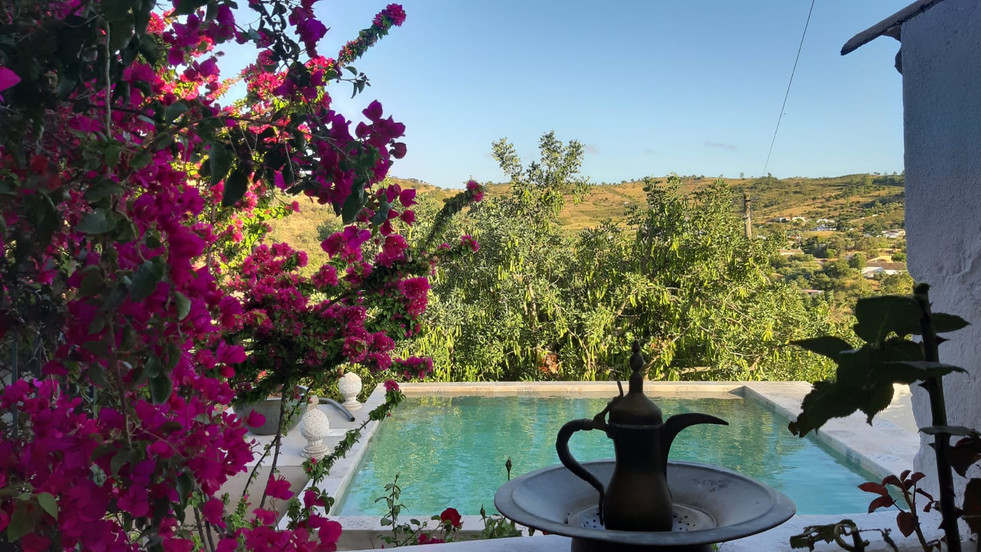 Our small but beautiful Salt-Water Pool