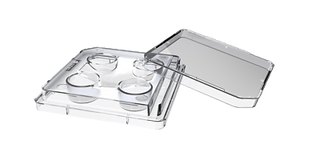 SureGrip 4-Well Dish