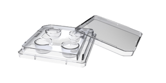 SureGrip 4-Well Dish