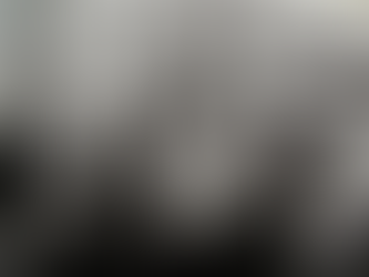 Atatürk'ün şereflendirdiği ,Asil bir yarış efsanesi. Lillias.. Nam ı değer CAMBRIA