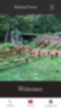 Example of website