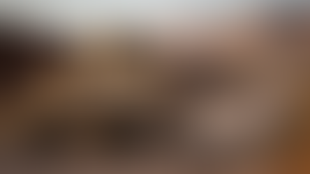 Homeland Security: Borders Surveillance 