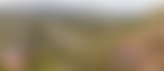 Colliers in Eastern Idaho: Office Highlight