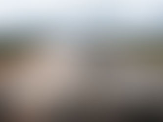 How to Stay Sane During a Divorce or Separation