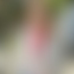 Sale’s Secret Santa