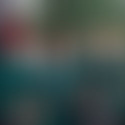 Meet the four most accomplished rowers in the history of Gippsland Grammar