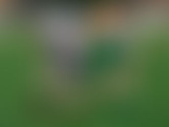 Clean Sweep for Sale United