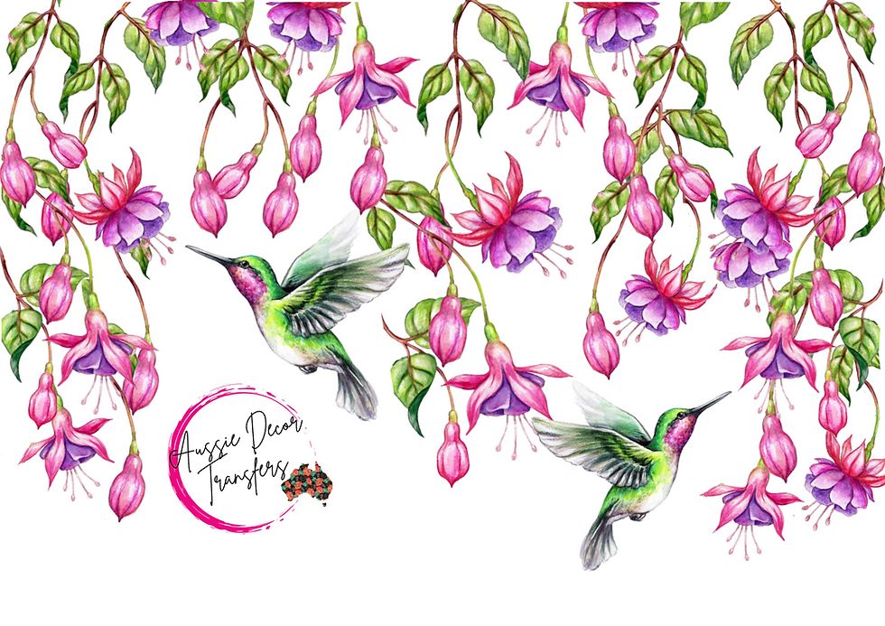 Thumbnail: Aussie FABOULOS FUSCHIA 2 Transfer